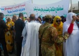 Cliquer pour une photo plus grande