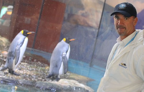 « Aucun animal n'a été prélevé en mer depuis  - 13805693.jpg